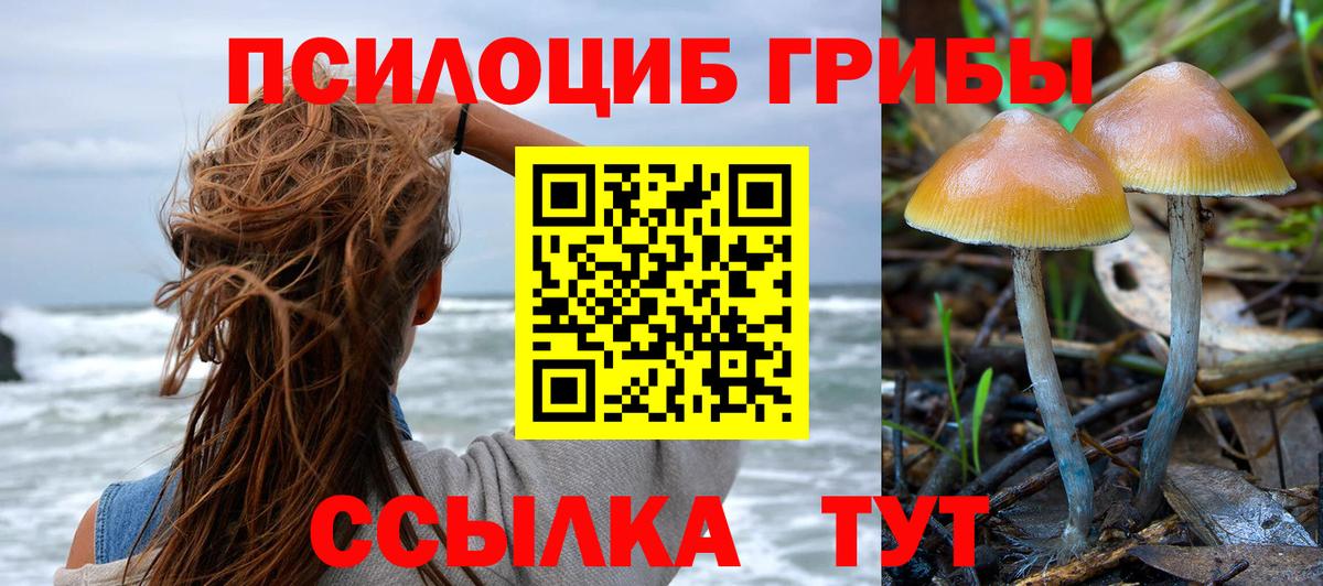 Псилоцибиновые грибы прущие грибы  Вход с VPN  Псилоцибиновые грибы прущие грибы  Сыктывкар 